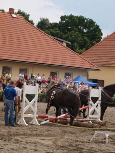 Mistři opratí p. Andrle a p. Kubíček