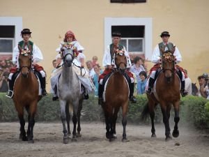 Krojovaná hanácká čtverylka