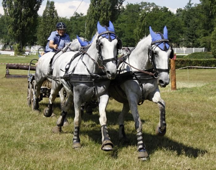 Pavel Hýbner Pavel Hýbner