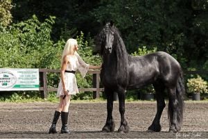 Dana Kusebauchová a Pieter van Diphoorn