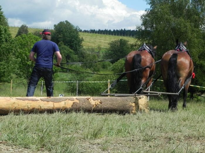 David Janoš (Nagána, Linka) David Janoš (Nagána, Linka)