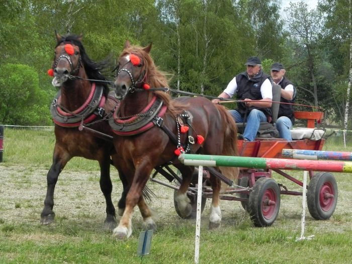 Pavel Reichel (Neron, Nacho B) Pavel Reichel (Neron, Nacho B)