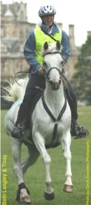 Beth Langly - HS Ametista