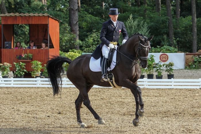 Fabrizio Sigismondi Fabrizio Sigismondi