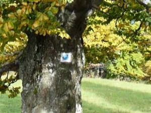 značení jezdeckých stezek