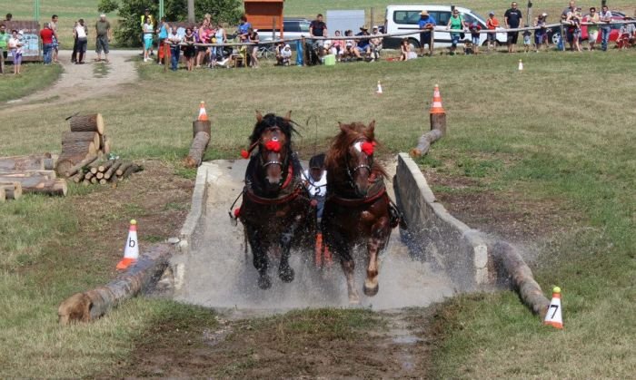 Pavel Reichel - Neron a Nacho B Pavel Reichel - Neron a Nacho B