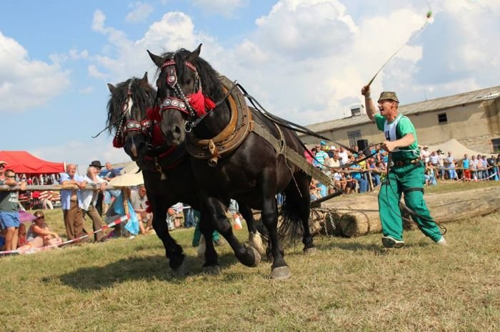 Těžký tah Těžký tah