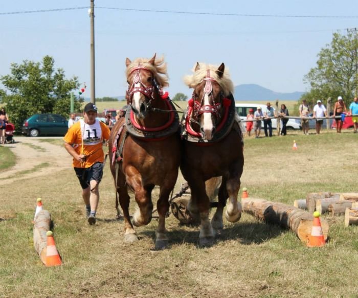 Miško Raškevič - Bolek a Miško Miško Raškevič - Bolek a Miško