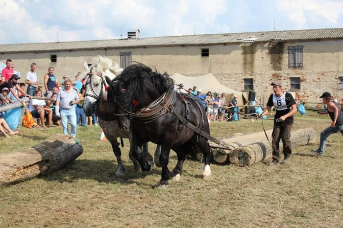 Jan Janovský Jan Janovský