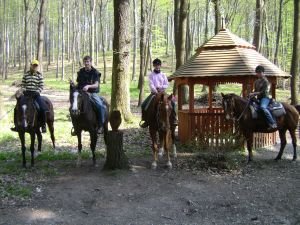 Jezdecký okruh Koryčany