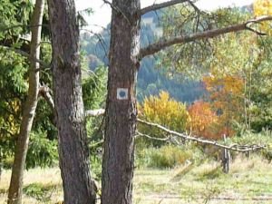 Modrá trasa - Koryčany