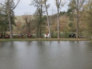 Hipotrasa Hříběcí hory