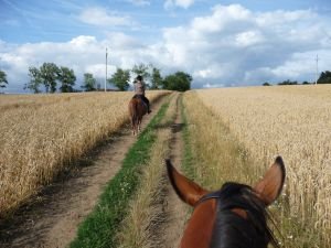 Hipotrasa Hříběcí hory