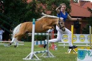 Michell Przechwozd - skok mohutnosti