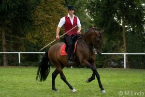 Working equitation PRE hřebec Bann a Ladislav Kindl