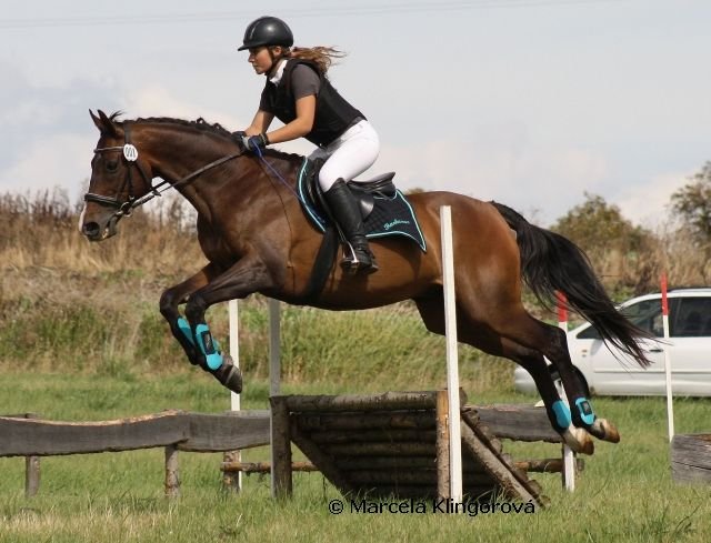 Barbaresco Barbaresco