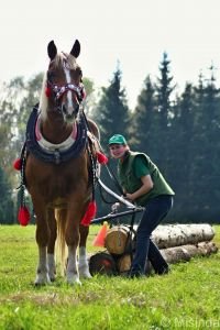 Kaštan a Pavla Smigová, jediná žena