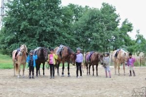 Léto s koňmi na táboře v Bečelově