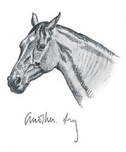 Sir Alfred Munnings - hlava Warriora