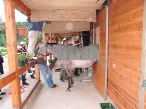 Ze záchranných akcí