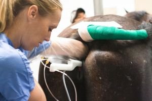 Výplach embrya z příjemkyně