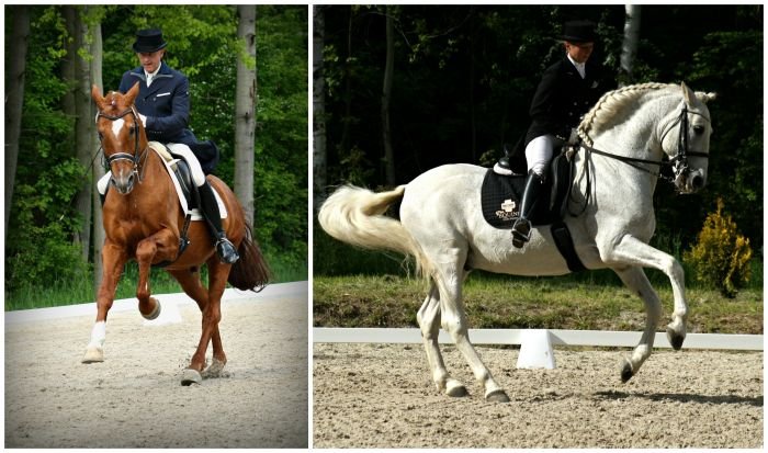 West Hit a Bandolero