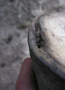 Kopyto před aplikací