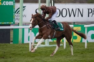 Top Notch Tonto
