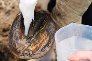 Namočte v roztoku tkaninu Namočte v roztoku tkaninu