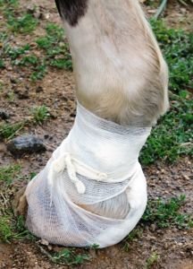 Nechte působit Nechte působit