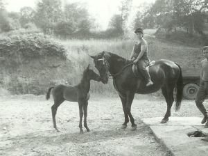 Váza s malým Liberem