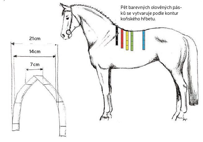 Saddle - Check Saddle - Check