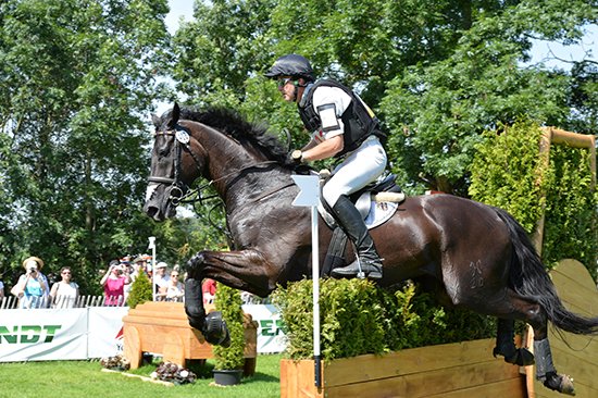 FRH Butts Avedon FRH Butts Avedon