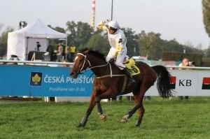 Martina Růžičková