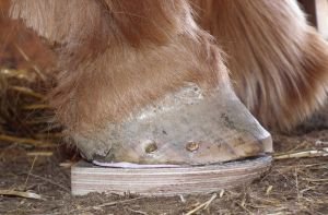 Přišroubovaný dřevák