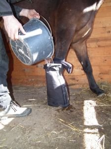 LedoBota - doplňování vody