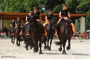 Koně pro Kapku naděje