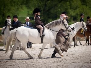 Rebeka Loukotková - Prigo's Flic Flac