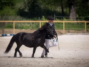 Václav Vondráček - Lea Domino