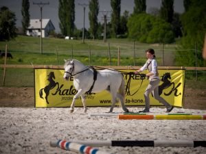 Vanda Loukotková - Progo's Flic Flac