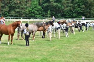 Pohled na třídu Mladý vystavovatel