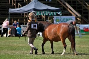 Mladý vystavovatel do 9 let