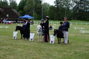Lead rein pohár třída SHP - první tři umístění
