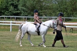 Adrianka Horáčková a Lustoord Zita - vítězky kola v Hradci Králové