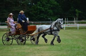 Vladimír Jašurek a Goodshapes Fire in the Mist