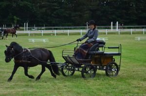 Pavla Hanzlík Kubalová a Calimero af Jaboruder