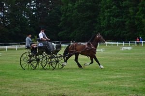 Radek Kašpar a Karlen Hemingway