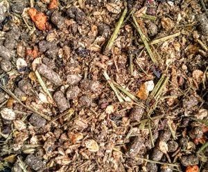 Struktur Energetikum