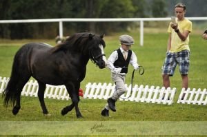 Jan Wunderlich - Cham