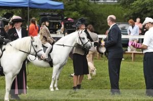 Adriana Horáčková - Lustoord Zita